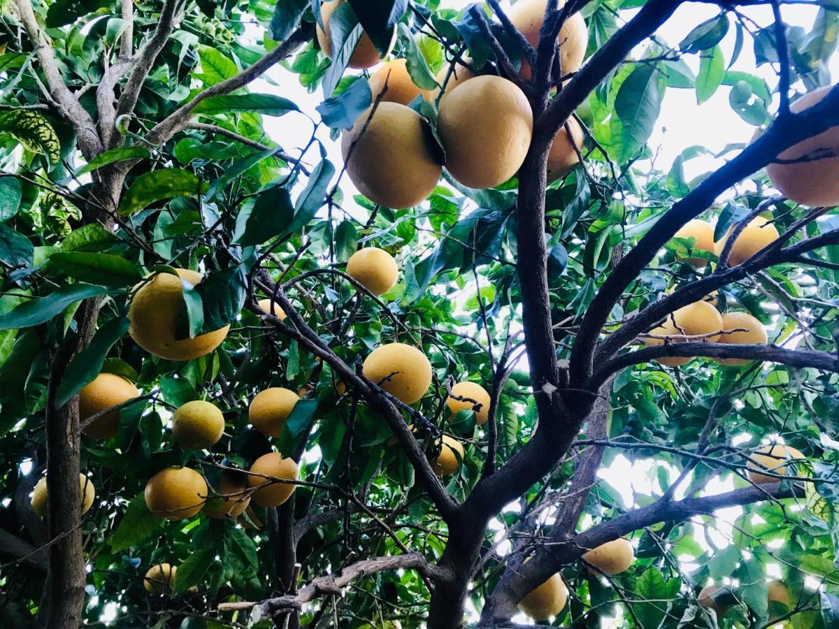 Casa Amigos Sorvilan - La Almendra Exteriér fotografie
