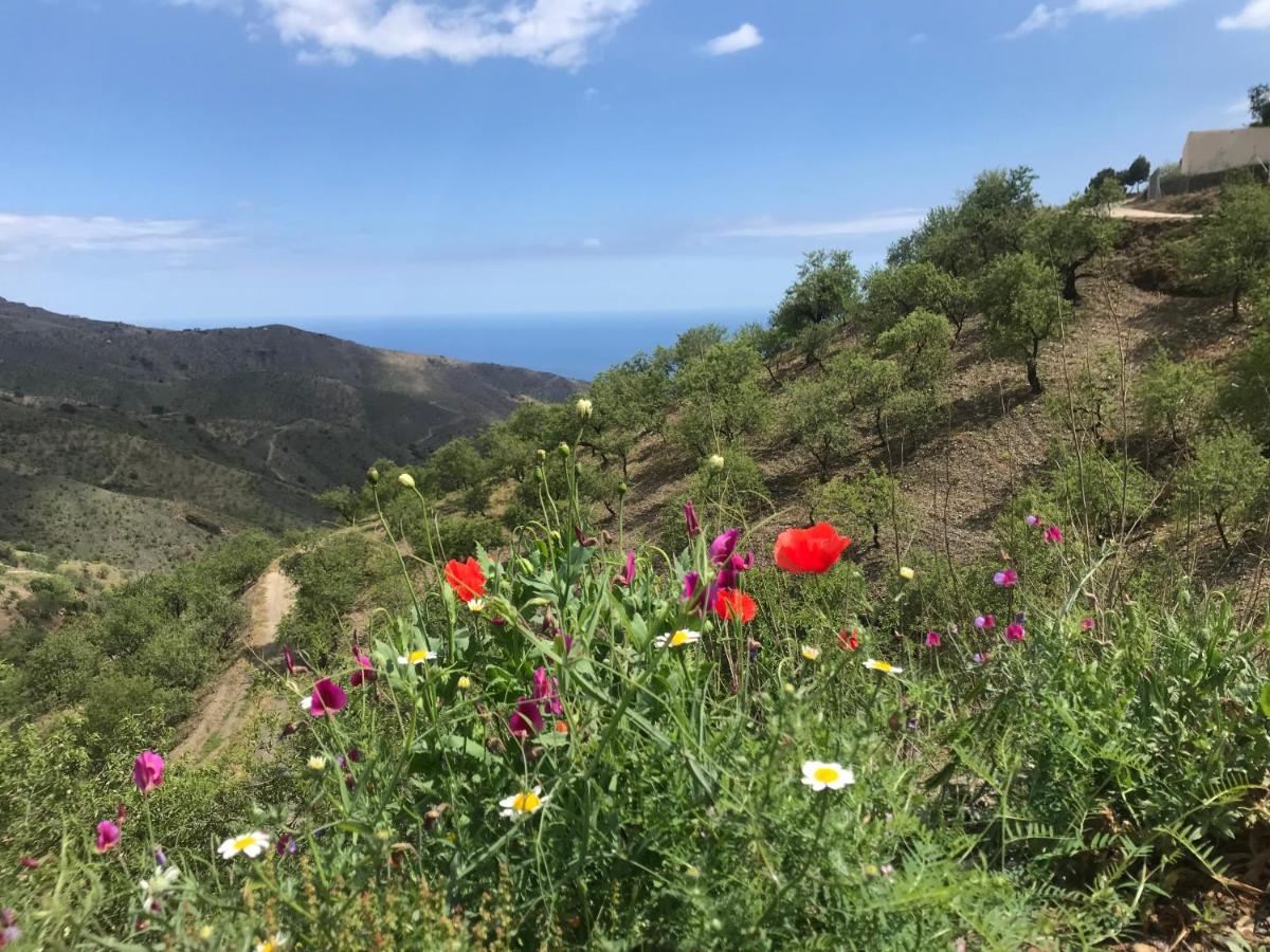 Casa Amigos Sorvilan - La Almendra Exteriér fotografie