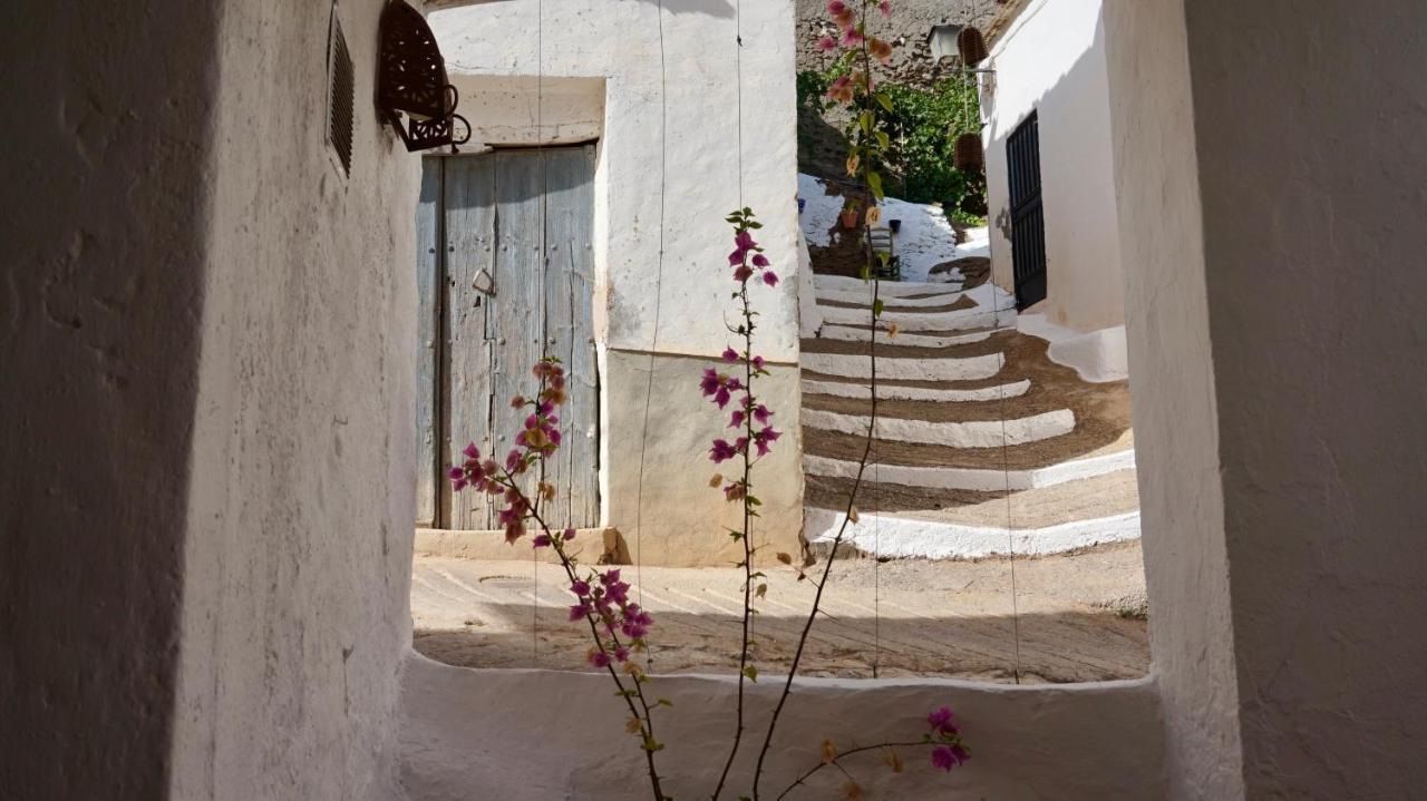 Casa Amigos Sorvilan - La Almendra Exteriér fotografie
