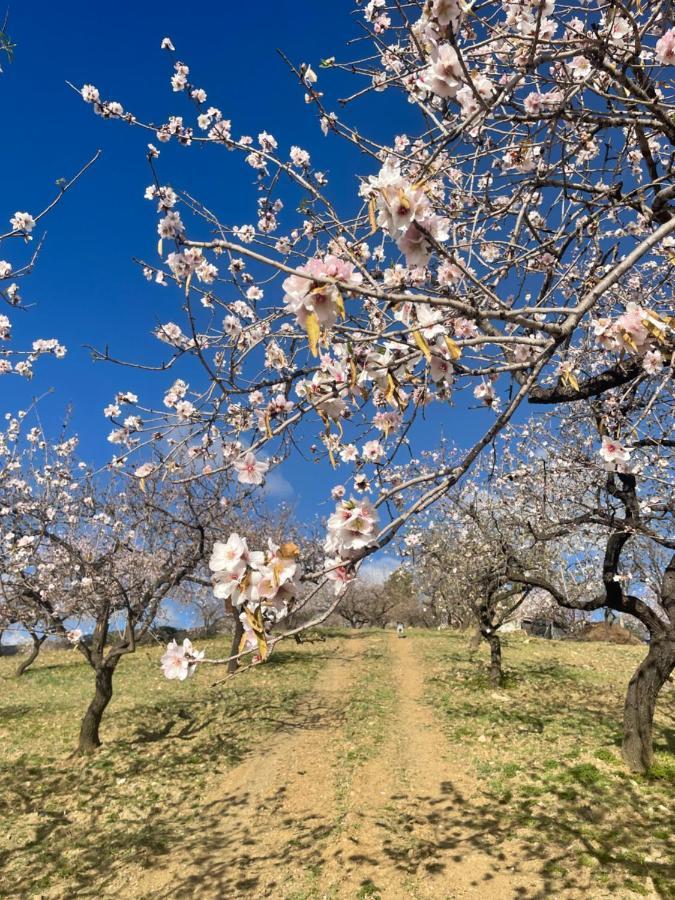 Casa Amigos Sorvilan - La Almendra Exteriér fotografie